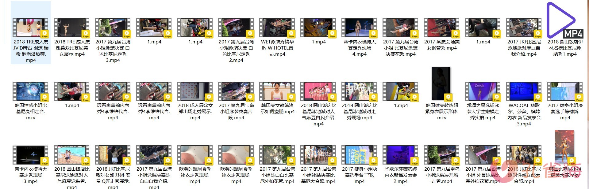 精选模特 明星（韩国女团/韩国车展车模/JKF比基尼派/钢管秀/成人展/内衣秀/时装秀/街拍视频）高清视频合集 共117套写真写真视频[33.60G]-优选资源网