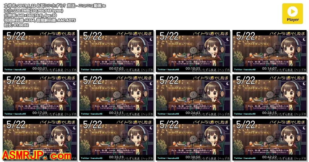 2017_5_22 你耳朵坏了吗？ – かの仔-优选资源网
